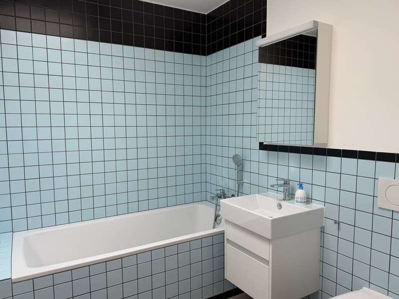 Moderne 3.5-Zimmer-Attikawohnung mit unverbaubarem Blick (9)