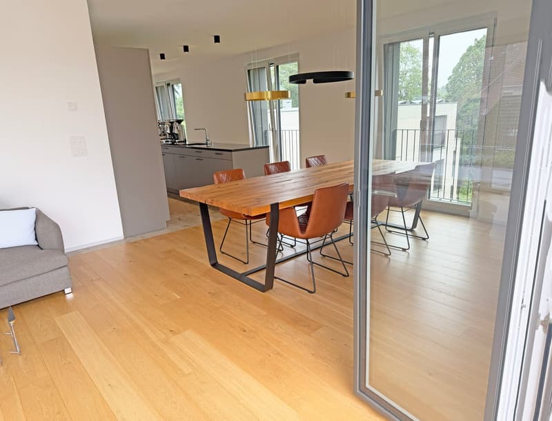 Moderne 3.5-Zimmer-Attikawohnung mit unverbaubarem Blick (7)