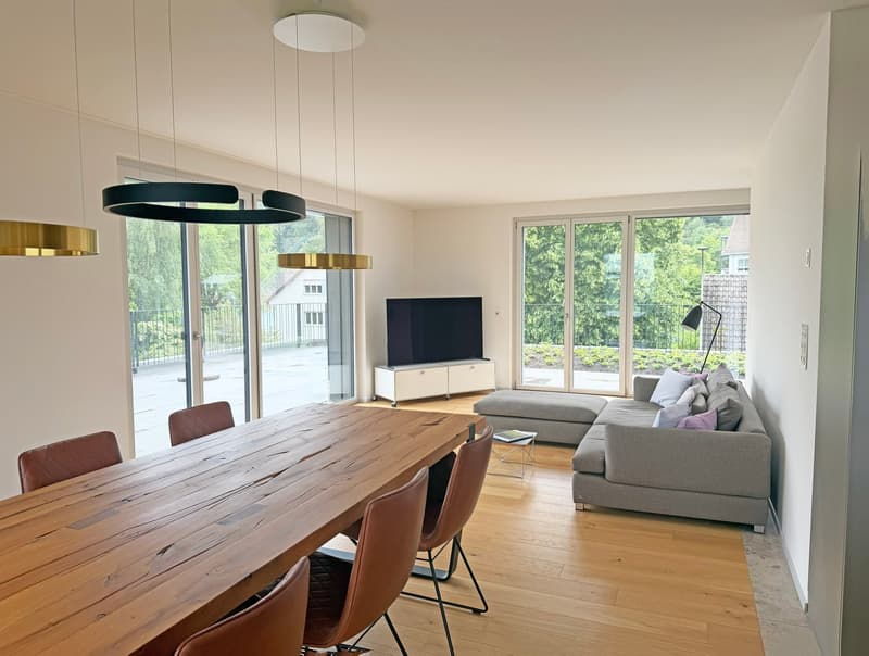 Moderne 3.5-Zimmer-Attikawohnung mit unverbaubarem Blick (8)