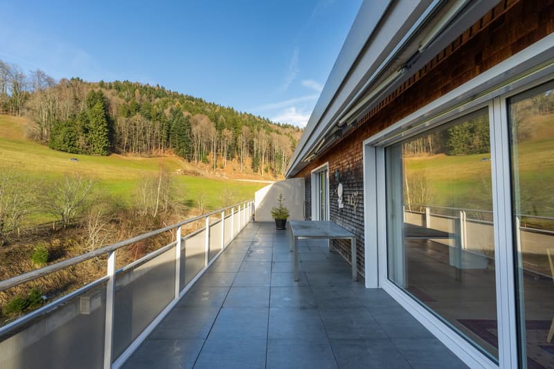 Exklusive 3.5-Zimmer-Wohnung im Appenzeller Vorderland, Unterrechstein (21)