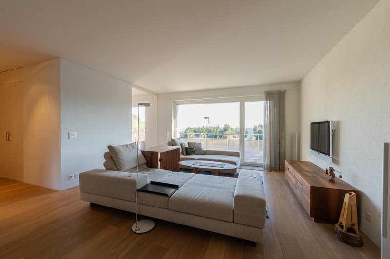 Aussergewöhnlich grosszügige 3.5-Zimmerwohnung mit 120 m², grosser Terrasse & 2 TG-Plätzen (14)