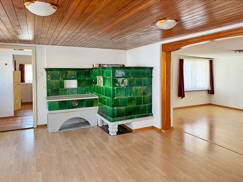 Wohnhaus mit Scheune und Einfamilienhaus (7)