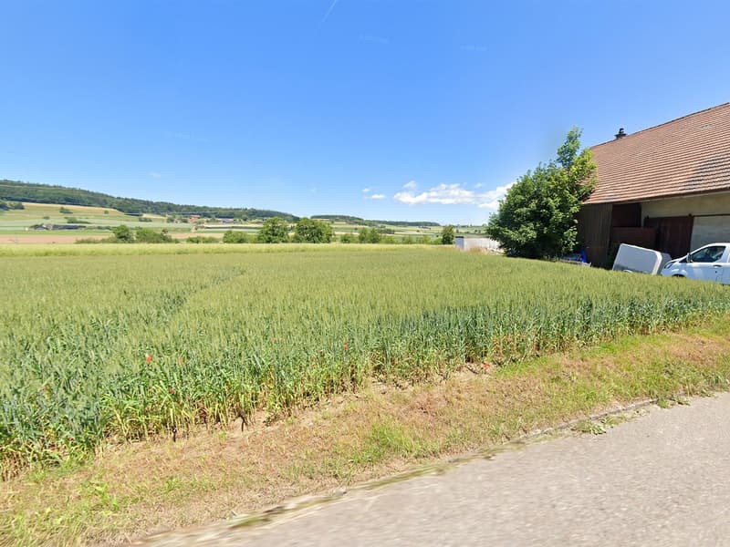 Attraktives Bauland an ruhiger Lage – Regensbergerstrasse 24, Sünikon (4)
