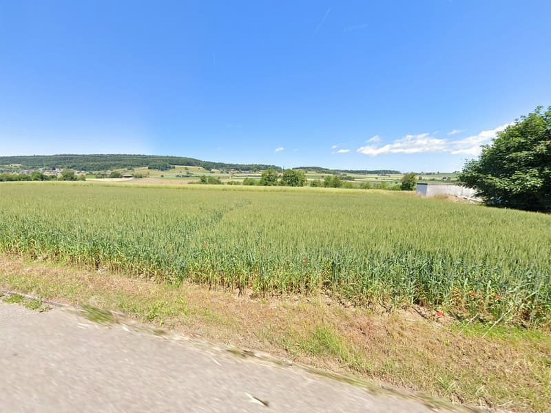 Attraktives Bauland an ruhiger Lage – Regensbergerstrasse 24, Sünikon (5)