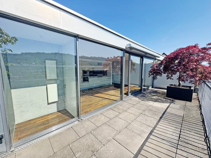 Moderne 3.5-Zimmer-Attikawohnung in Zürich-Sihlcity (2)