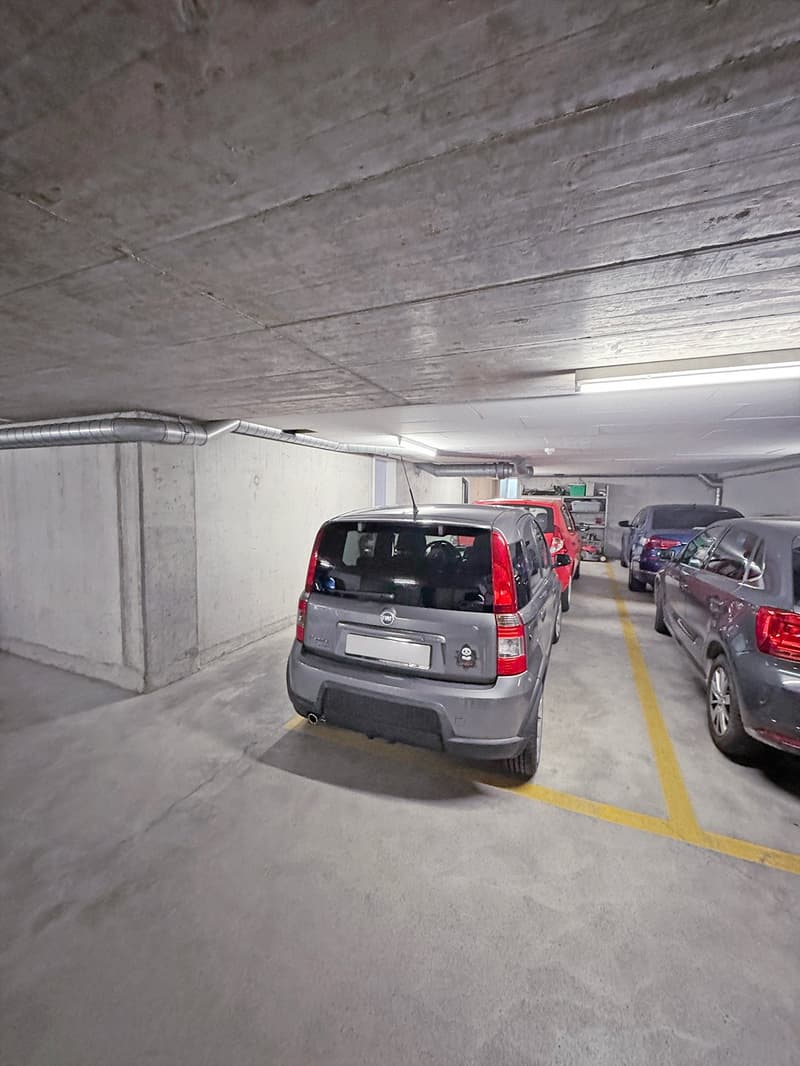 4.5-Zimmer-Wohnung im Erdgeschoss mit Doppeleinstellplatz in der Tiefgarage (13)