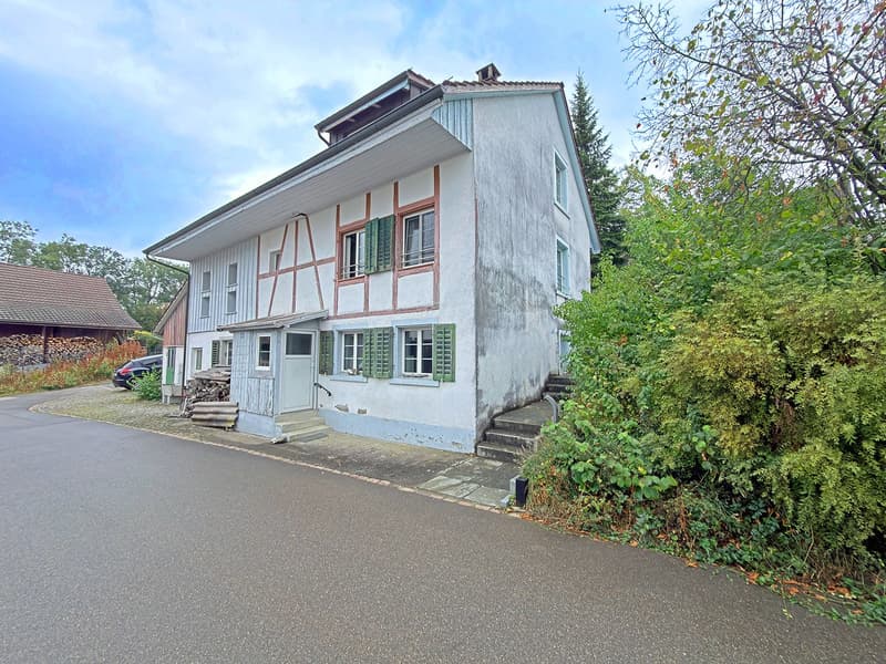 Charmantes 8-Zimmer-Einfamilienhaus mit Garten und Garage in Oberglatt (1)