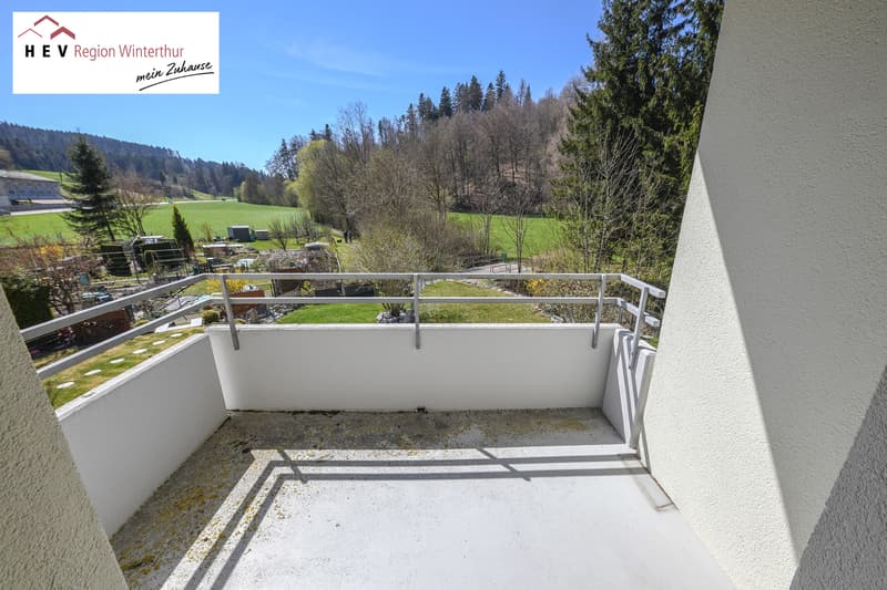 Zwischen Wiesen und Wasser (10)