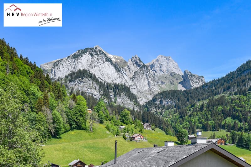 Der Berg ruft (2)