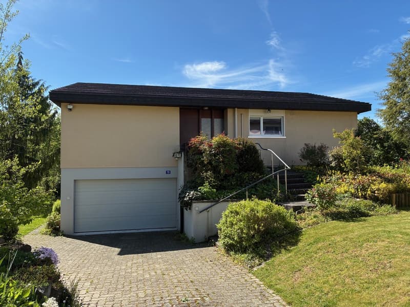 6.5-Zimmer-Einfamilienhaus an idyllischer Lage in Seuzach (5)