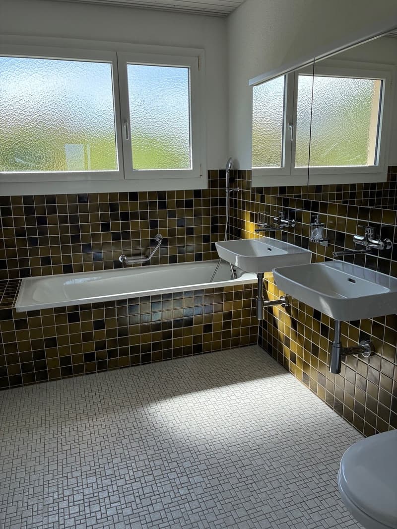 6.5-Zimmer-Einfamilienhaus an idyllischer Lage in Seuzach (9)