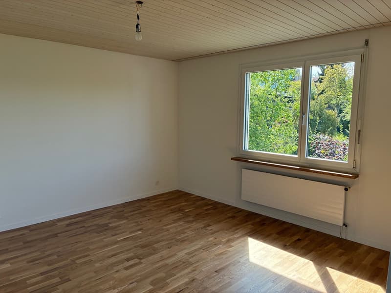 6.5-Zimmer-Einfamilienhaus an idyllischer Lage in Seuzach (10)
