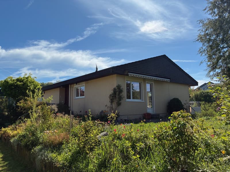 6.5-Zimmer-Einfamilienhaus an idyllischer Lage in Seuzach (4)