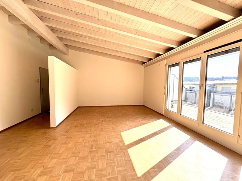 Frisch renovierte charmante 3,5 Zimmer Dach-Wohnung (4)