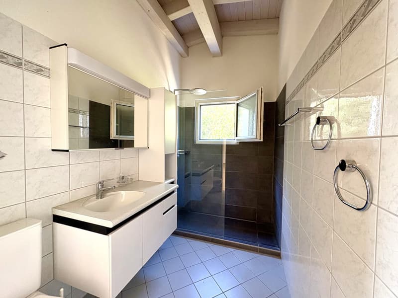 Frisch renovierte charmante 3,5 Zimmer Dach-Wohnung (3)