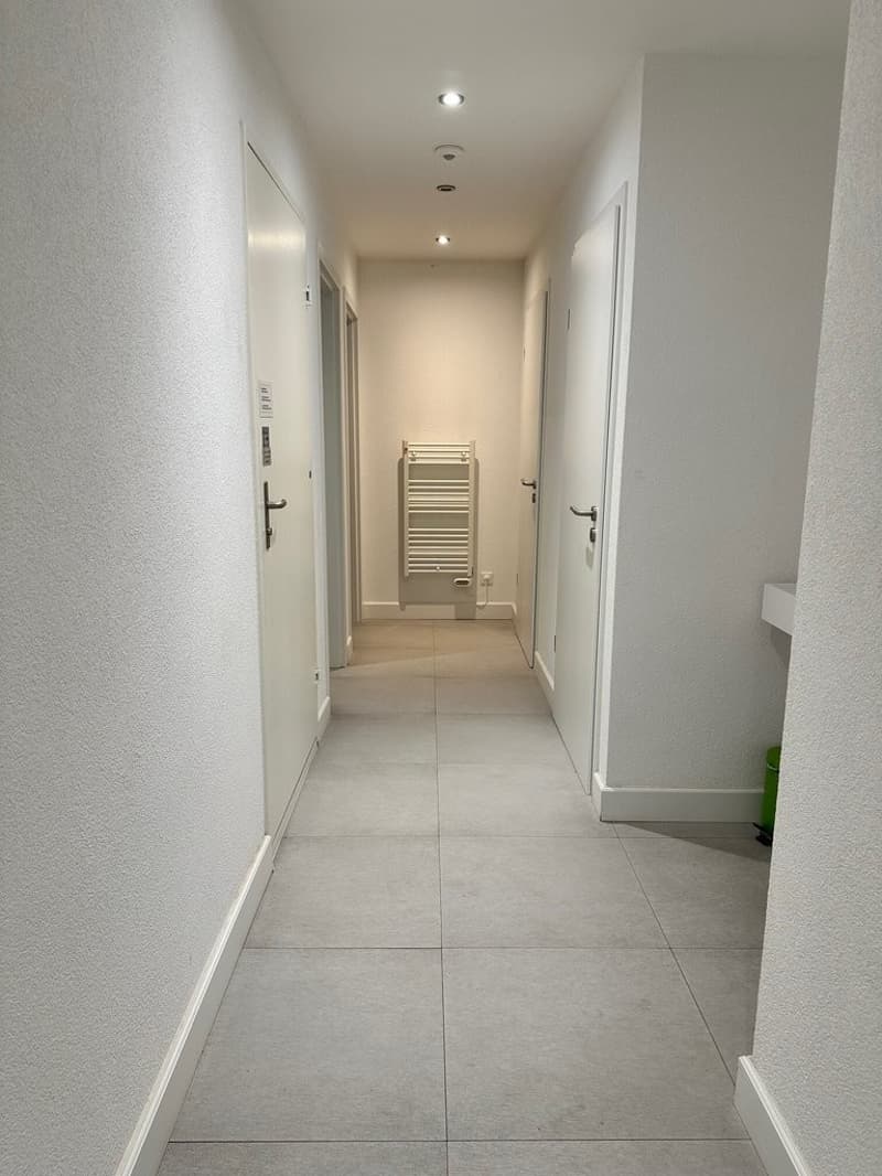Attractive and bright office space in a prime location in Uster (6)