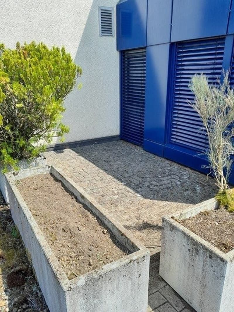 Terrasse.jpg