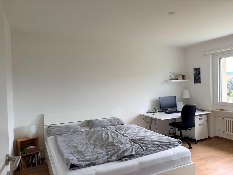 Attraktive 2.5- Zimmer-Wohnung mit viel Tageslicht (3)