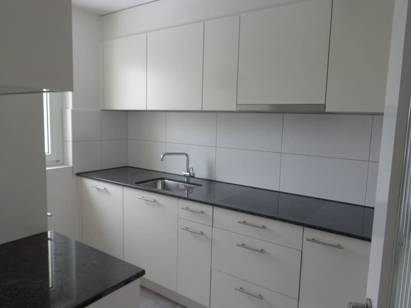 Grosszügige Wohnung mit Cheminée und Ausblick ins Grüne (2)
