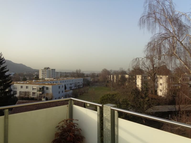 Grosszügige Wohnung mit Cheminée und Ausblick ins Grüne (12)