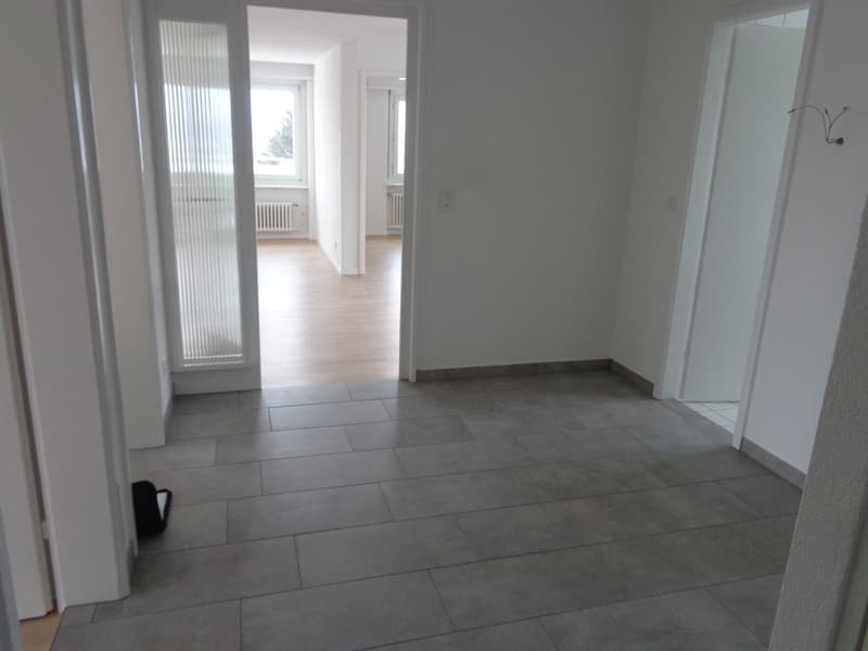 Grosszügige Wohnung mit Cheminée und Ausblick ins Grüne (6)