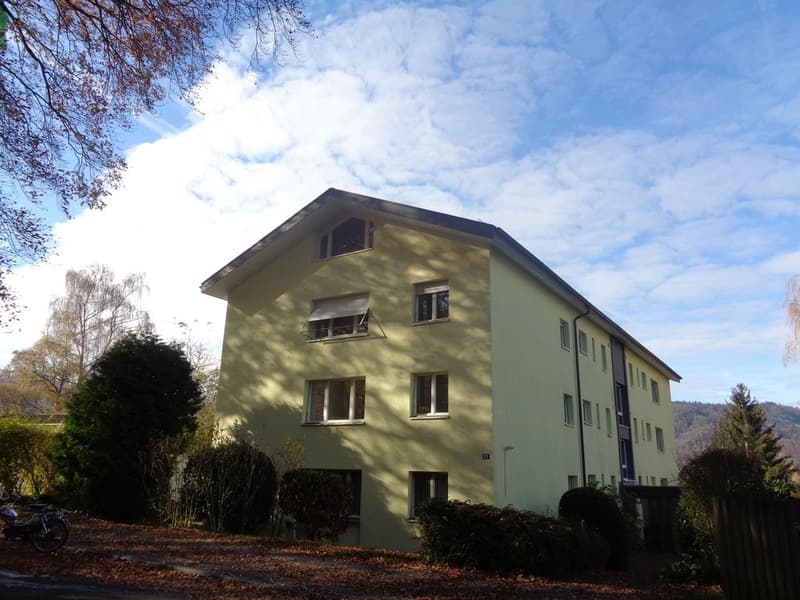 Grosszügige Wohnung mit Cheminée und Ausblick ins Grüne (1)