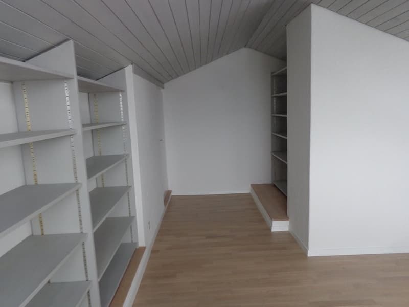 Grosszügige Wohnung mit Cheminée und Ausblick ins Grüne (10)