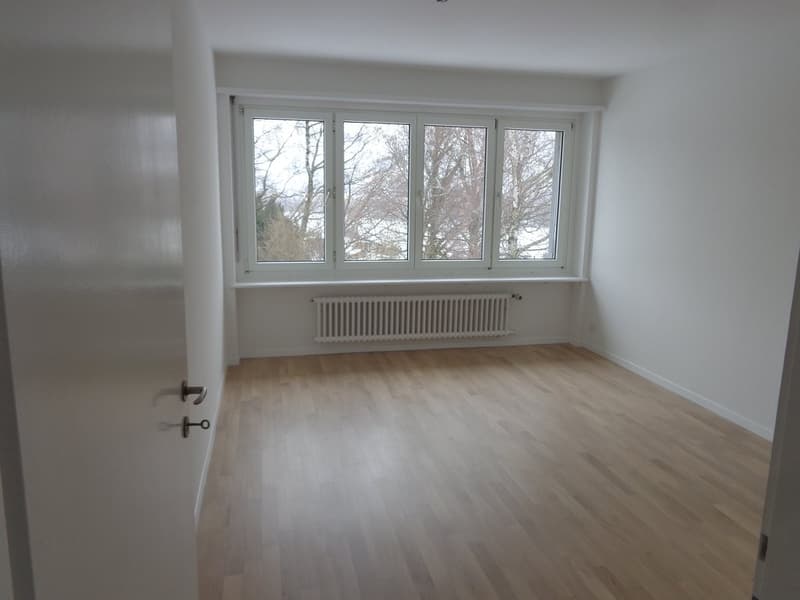 Grosszügige Wohnung mit Cheminée und Ausblick ins Grüne (11)