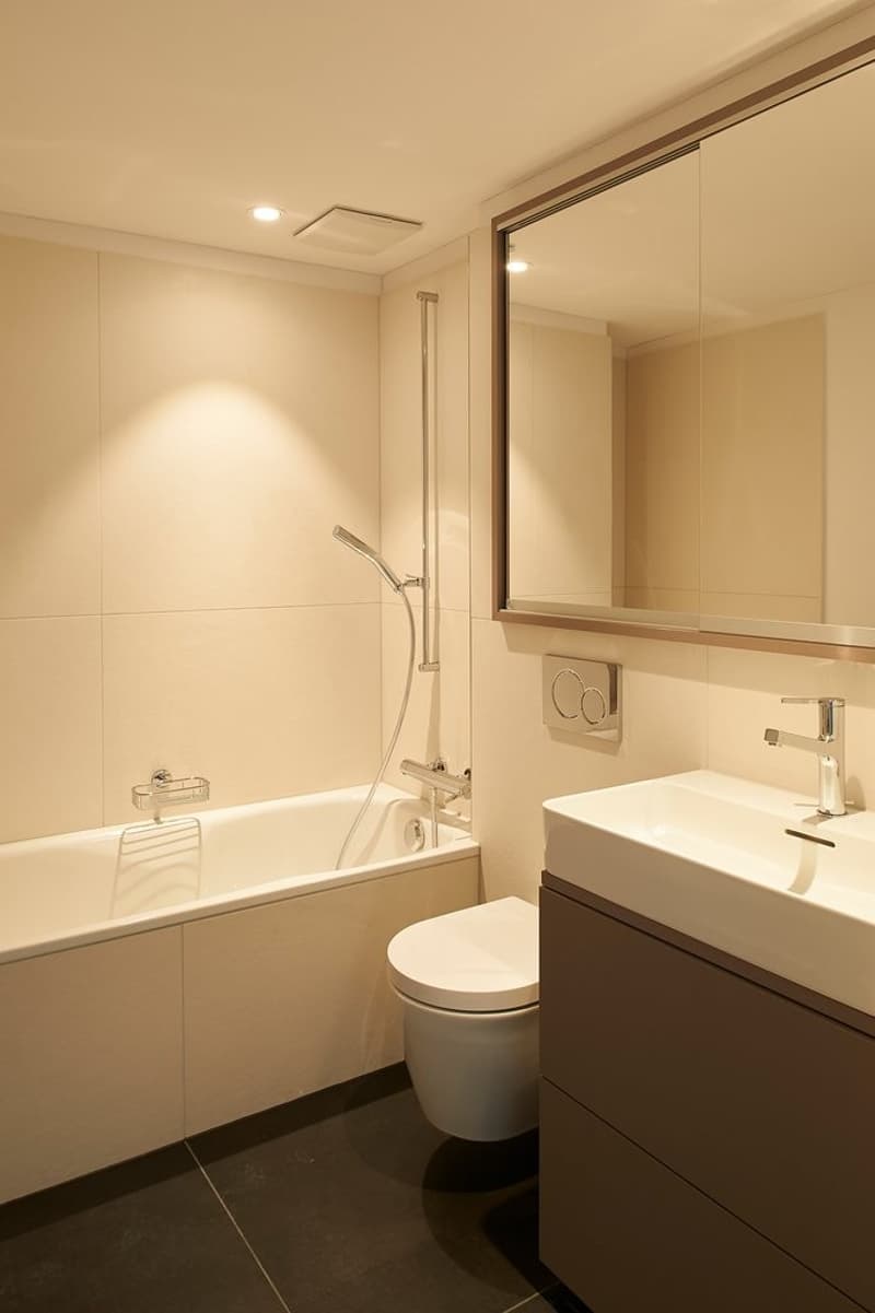 Wunderschöne Dachwohnung in Zürich-Wiedikon (5)