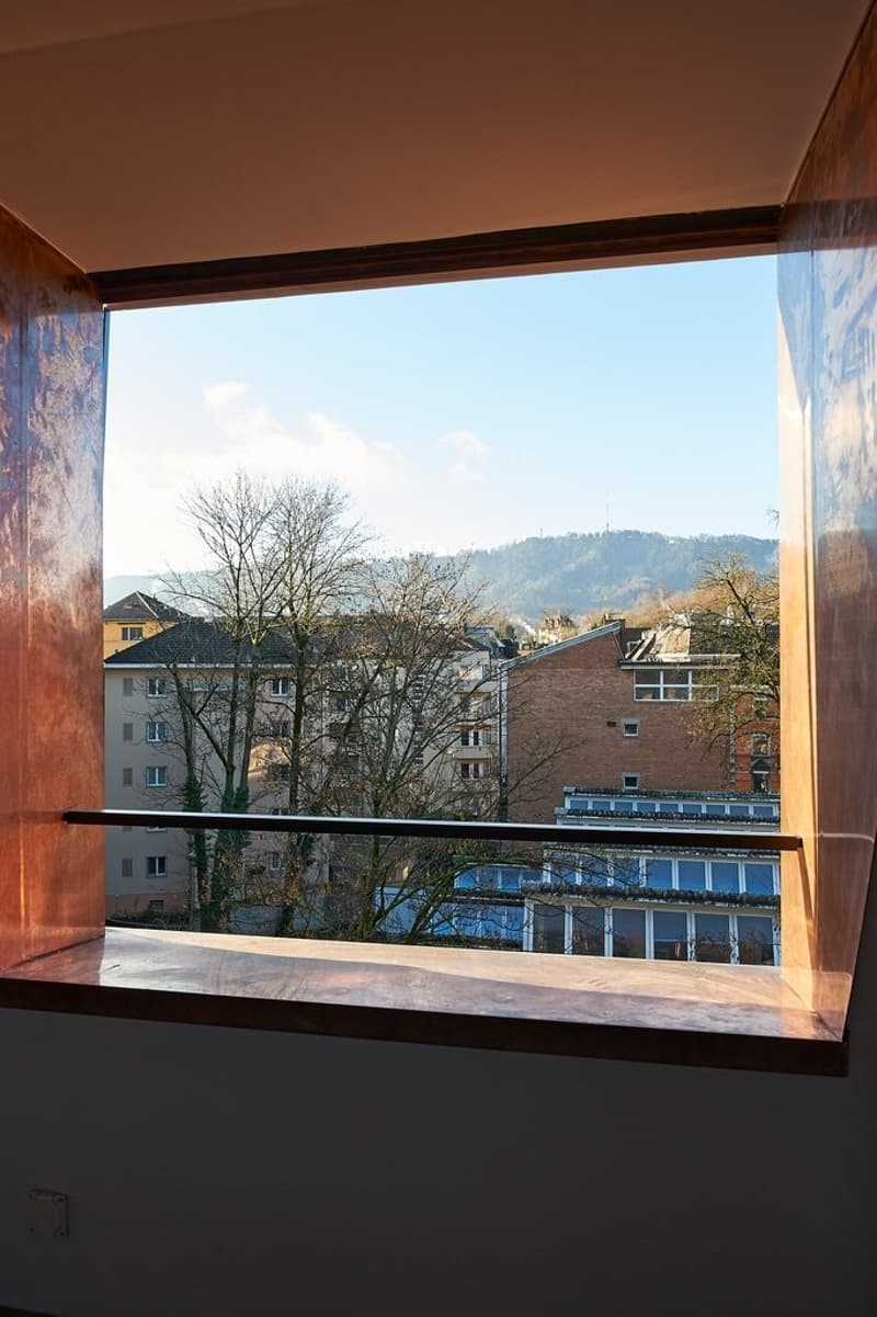 Wunderschöne Dachwohnung in Zürich-Wiedikon (4)