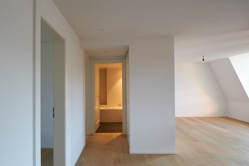 Wunderschöne Dachwohnung in Zürich-Wiedikon (2)