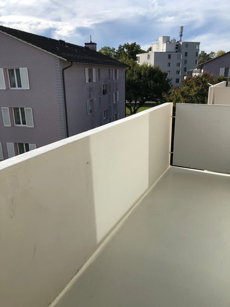 SINGEL : Wir bieten eine 1,5 Zimmerwohnung nach Totalsanierung an (8)