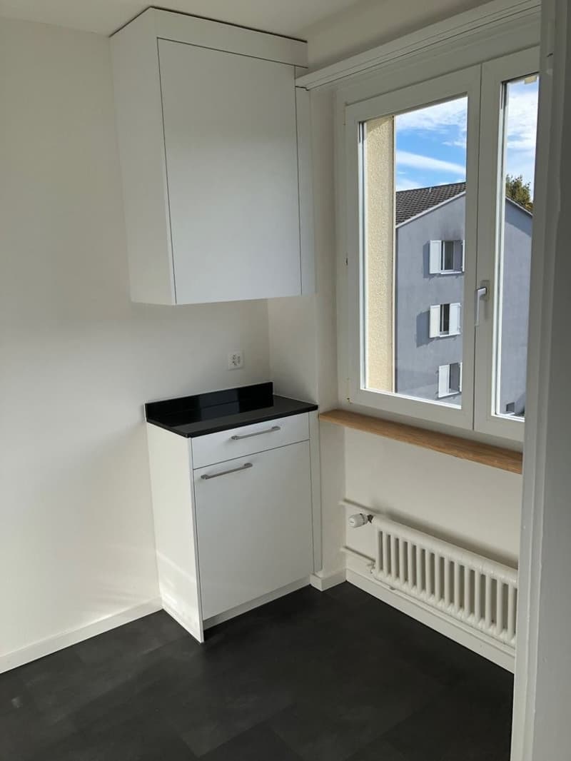 SINGEL : Wir bieten eine 1,5 Zimmerwohnung nach Totalsanierung an (6)