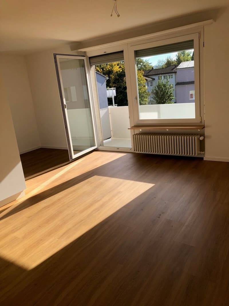 SINGEL : Wir bieten eine 1,5 Zimmerwohnung nach Totalsanierung an (7)