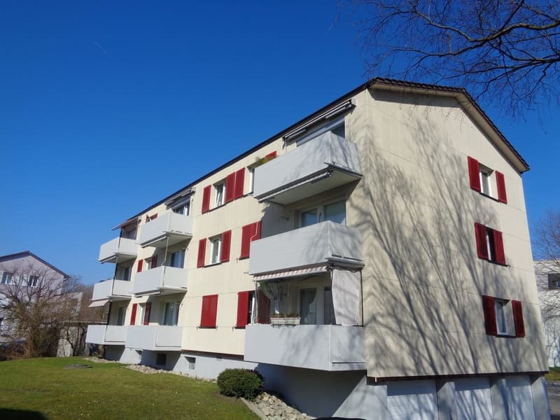 SINGEL : Wir bieten eine 1,5 Zimmerwohnung nach Totalsanierung an (1)