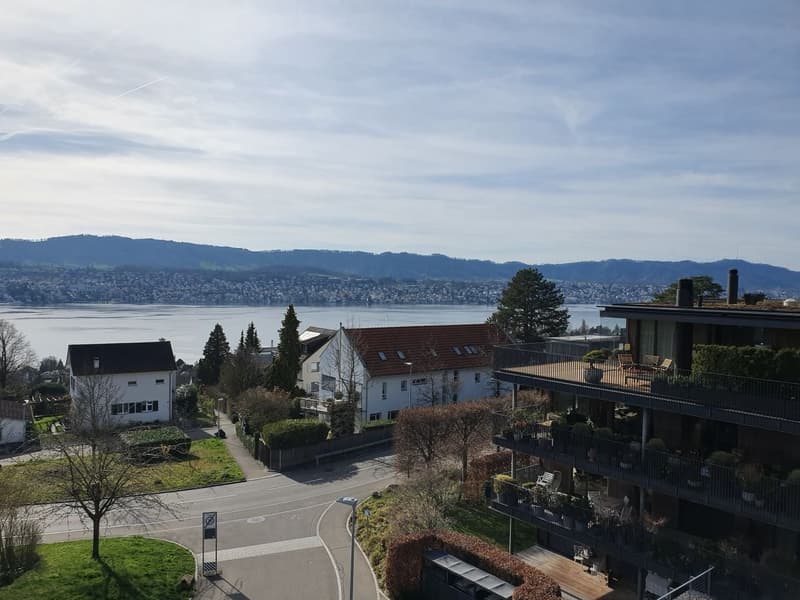Aussicht auf den Zürichsee