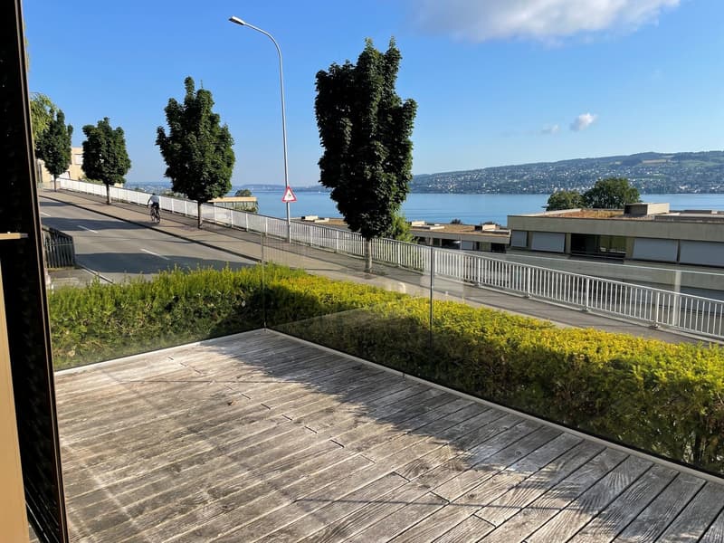 Ausblick von der Terrasse in Richtung Zürich