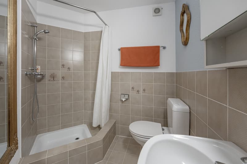 Dusche/WC (Einliegerwohnung)