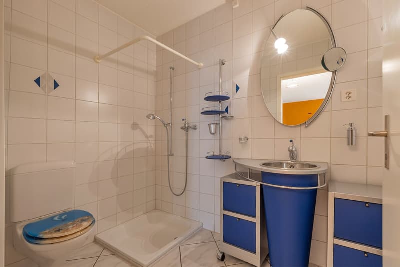 Freistehendes 5.5-Zimmer Einfamilienhaus mit Weitsicht bis zu den Alpen (20)