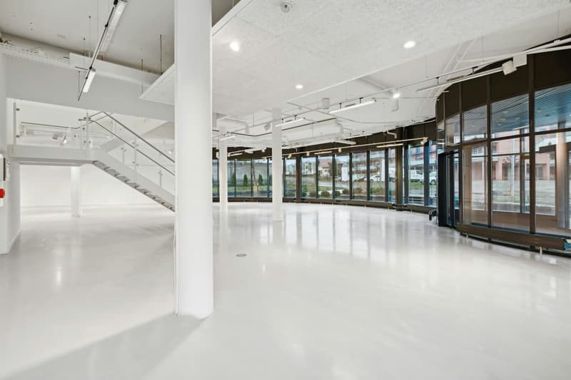 Multifunktionale Büro- und Gewerbefläche in praktischem Gebäude mit Aussenfläche (2)