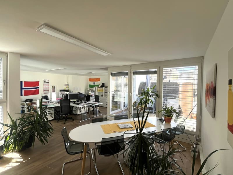 Moderne Bürofläche mit Terrasse (1)