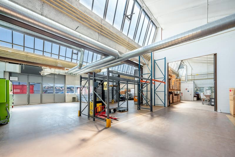 Shedhalle