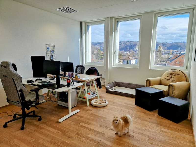Büro / Gewerbe