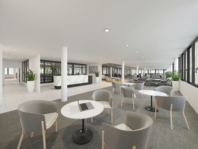 Büros, Praxis oder Showroom von 150 m2 bis 1'120 m2 mal anders: Lichtdurchflutet u. mit Pateo-Flair (3)