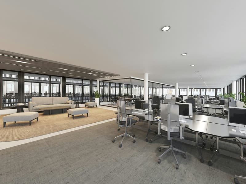 Büros, Praxis oder Showroom von 150 m2 bis 1'120 m2 mal anders: Lichtdurchflutet u. mit Pateo-Flair (2)