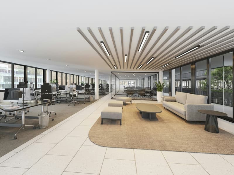 Büros, Praxis oder Showroom von 150 m2 bis 1'120 m2 mal anders: Lichtdurchflutet u. mit Pateo-Flair (4)