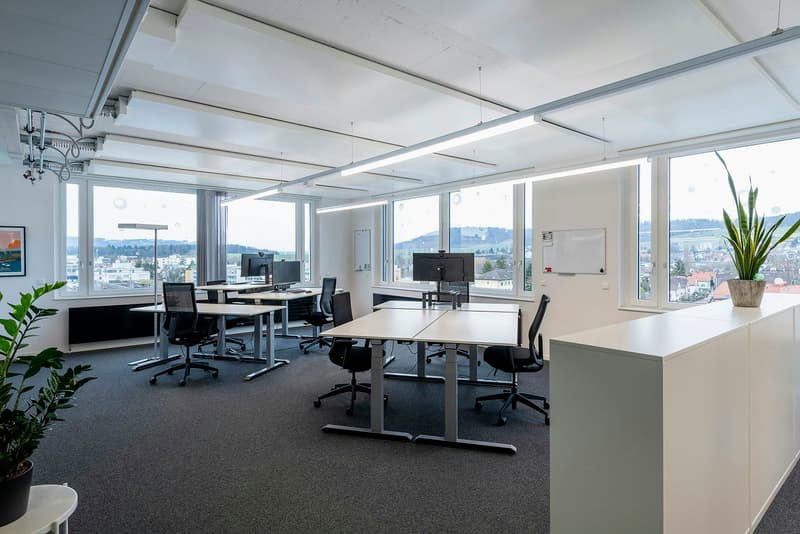 Cosmos Schlieren - Your new business address in a prime location (3)