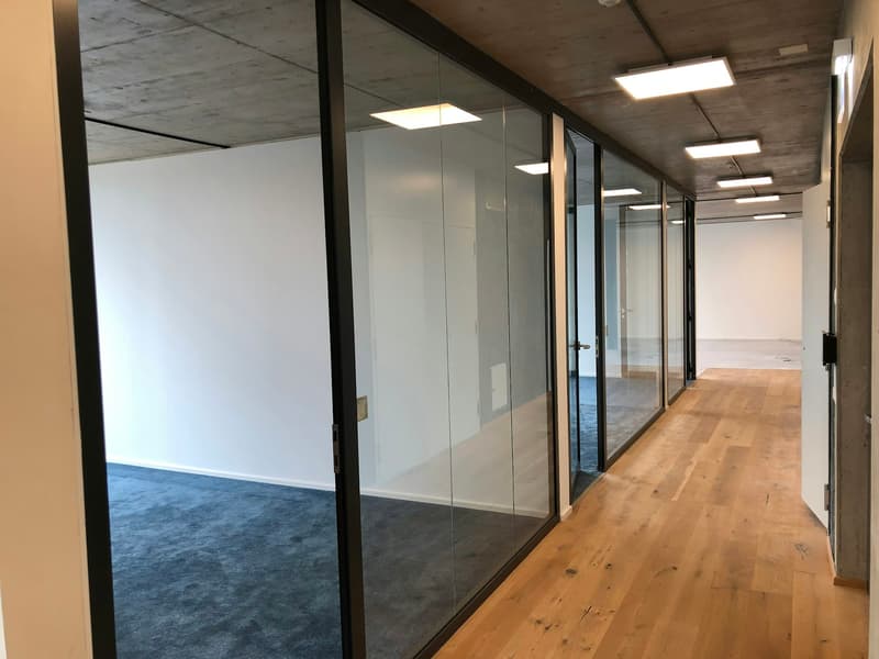 Firmenhotspot Rietpark Schlieren (10)