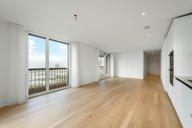 Modern Living in Green Surroundings - 2.5-Room Apartment in Wetzikon (4)