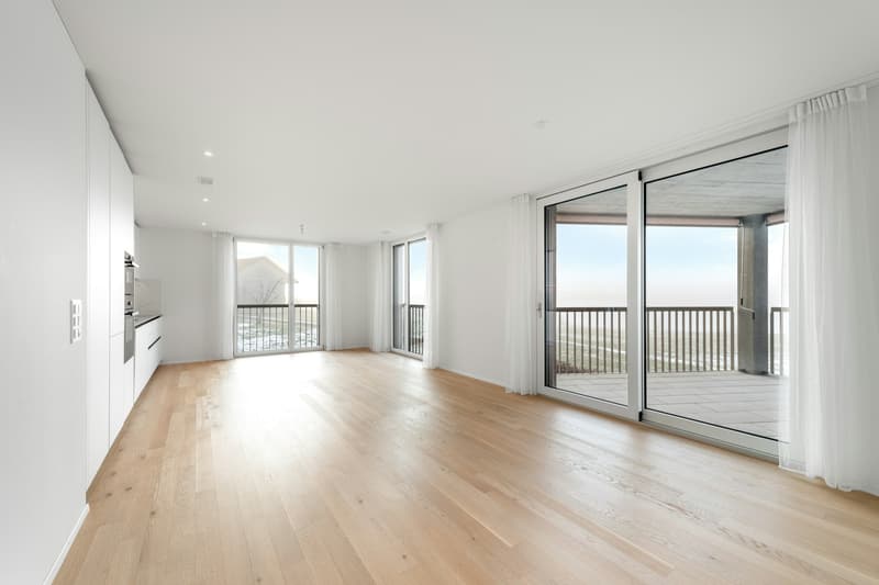 Modern Living in Green Surroundings - 2.5-Room Apartment in Wetzikon (3)